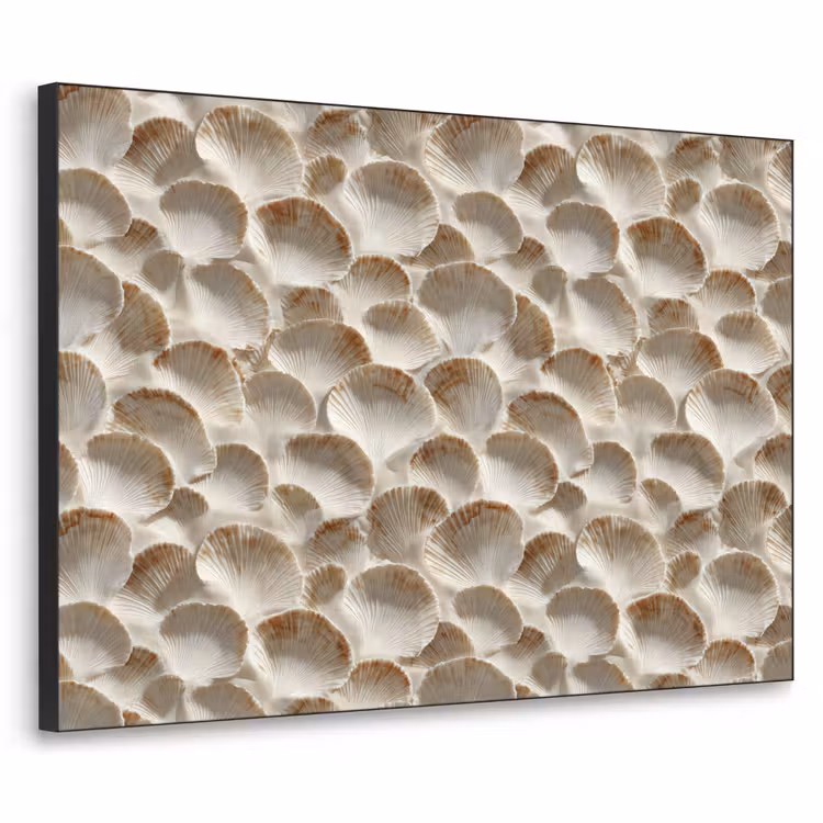 Art Frame - Schelpen - Waaiervorm - Wit — 1
