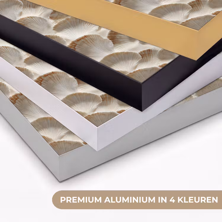 Art Frame - Schelpen - Waaiervorm - Wit — 2