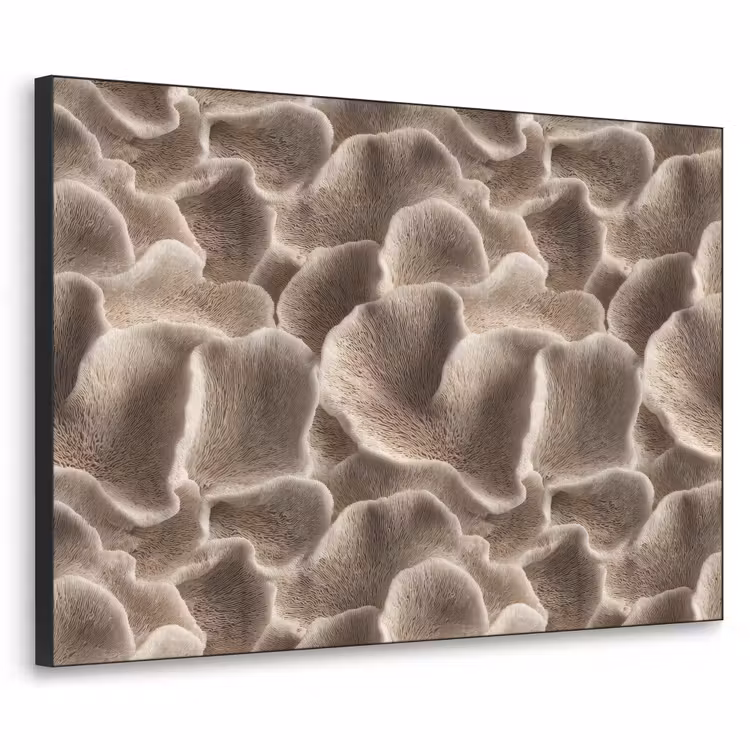 Art Frame - Waaiervorm - Beige - Vezel textuur — 1