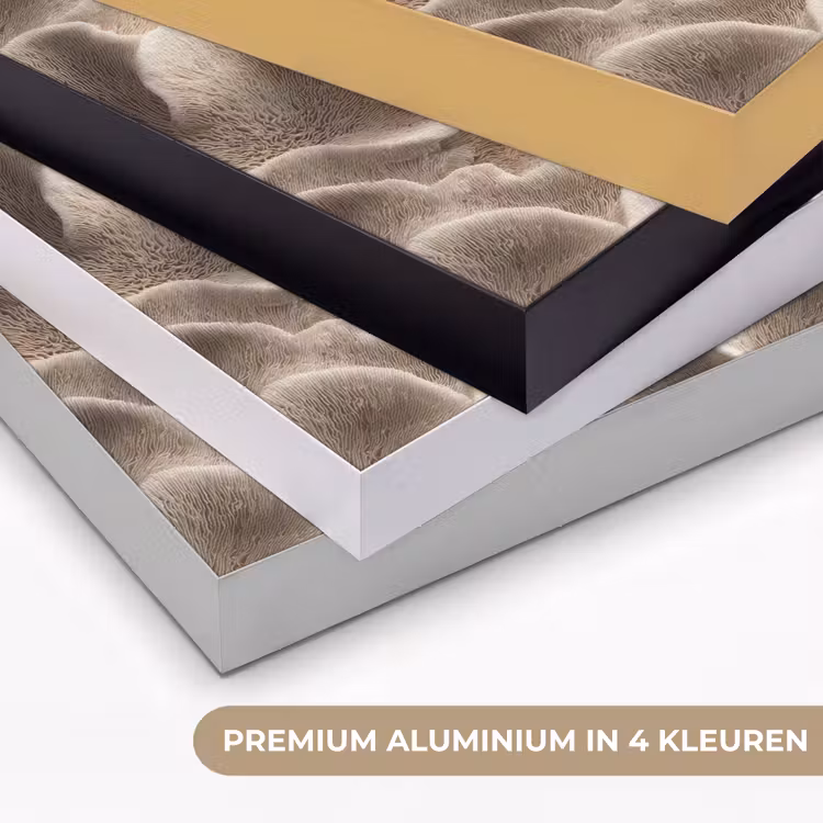 Art Frame - Waaiervorm - Beige - Vezel textuur — 2