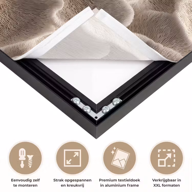 Art Frame - Waaiervorm - Beige - Vezel textuur — 8