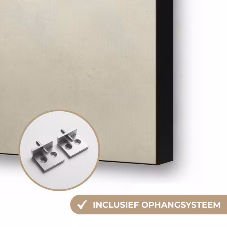 Art Frame - Het melkmeisje - Kunst - Oude meesters - Vermeer — 6