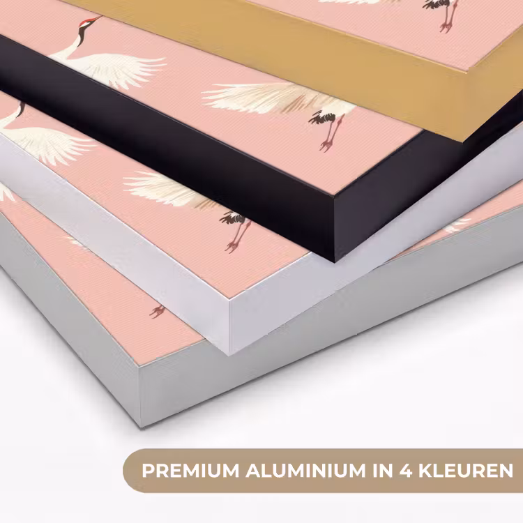 Art Frame - Modern - Kraanvogels - Roze — 2