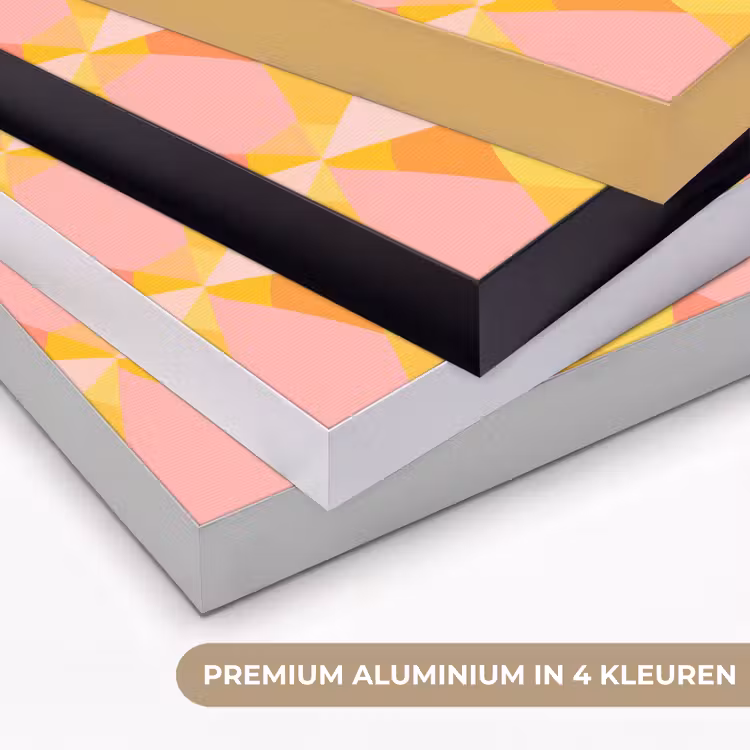 Art Frame - Kleurrijk - Ruitpatroon - Bladvormen — 2