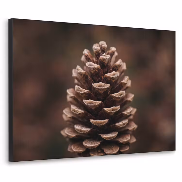 Art Frame - Dennenappel - Bos - Herfst - Bruin - Sfeervol