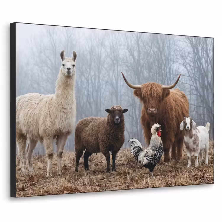 Art Frame - Boerderijdieren - Groep - Mist - Natuur - Rustiek