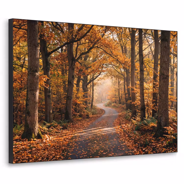 Art Frame - Bospad - Herfstbos - Bladeren - Oranje - Nostalgisch