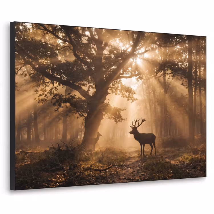 Art Frame - Hert - Bos - Mistig - Natuur - Goud