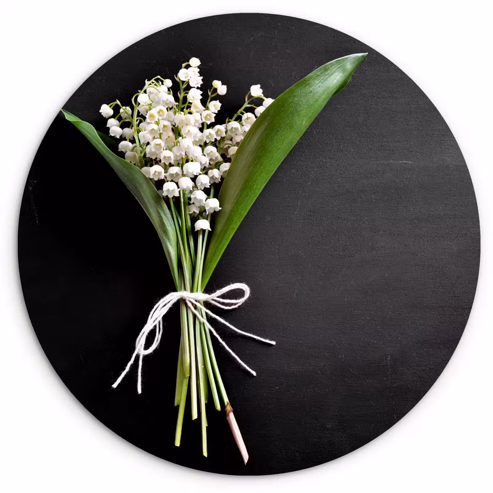 Muurcirkel - Lelietjes van dalen - Bloemen - Stilleven - Flora — 1