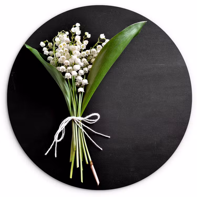 Muurcirkel - Lelietjes van dalen - Bloemen - Stilleven - Flora — 1
