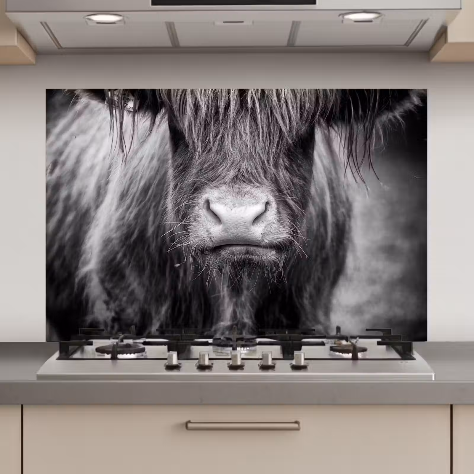 Spatscherm keuken - Schotse hooglander - Koe - Zwart - Wit - Dieren — 1