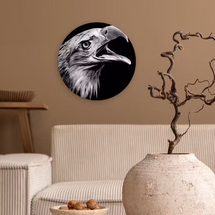 Muurcirkel - Adelaar - Portret - Roofvogels - Zwart - Wit - Vogel — 2