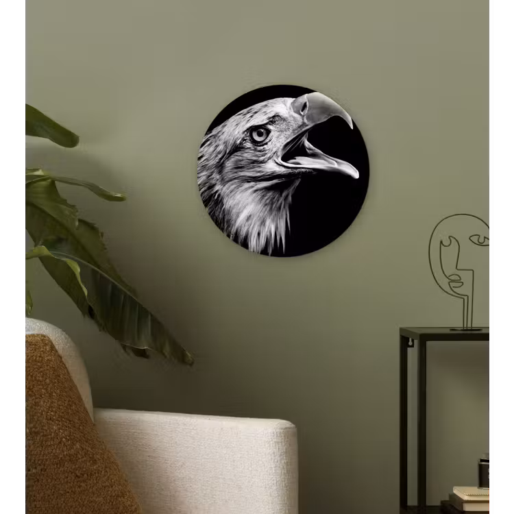 Muurcirkel - Adelaar - Portret - Roofvogels - Zwart - Wit - Vogel — 3
