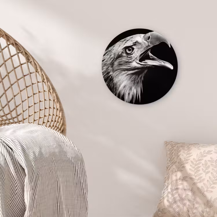 Muurcirkel - Adelaar - Portret - Roofvogels - Zwart - Wit - Vogel — 5