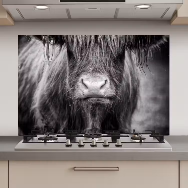 Spatscherm keuken - Schotse hooglander - Koe - Zwart - Wit - Dieren — 1