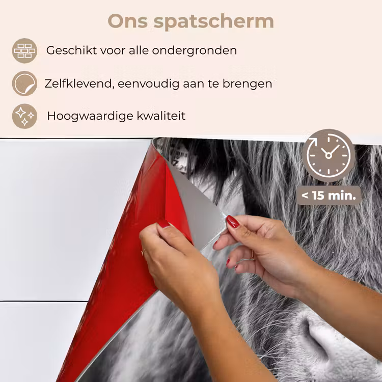 Spatscherm keuken - Schotse hooglander - Koe - Zwart - Wit - Dieren — 4