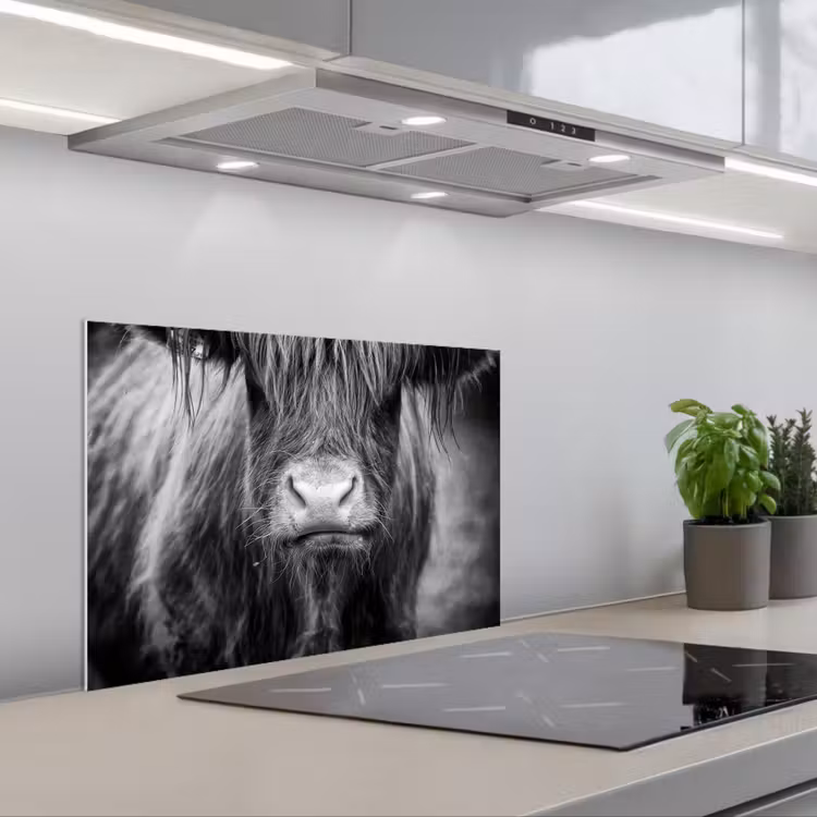 Spatscherm keuken - Schotse hooglander - Koe - Zwart - Wit - Dieren — 5