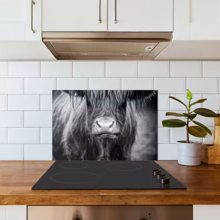 Spatscherm keuken - Schotse hooglander - Koe - Zwart - Wit - Dieren — 6