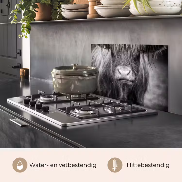 Spatscherm keuken - Schotse hooglander - Koe - Zwart - Wit - Dieren — 7