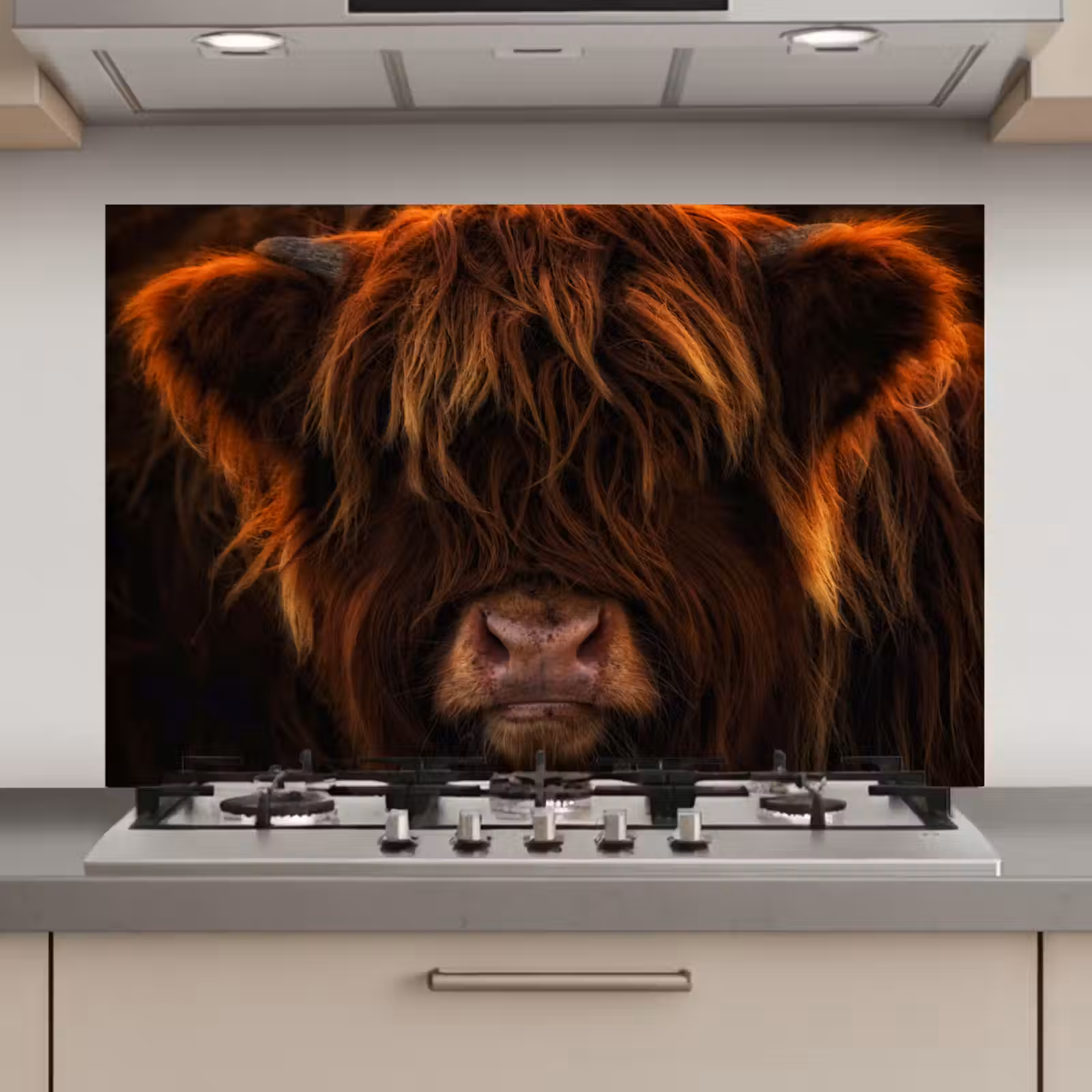 Spatscherm keuken - Schotse Hooglander - Koe - Portret - Dieren — 1