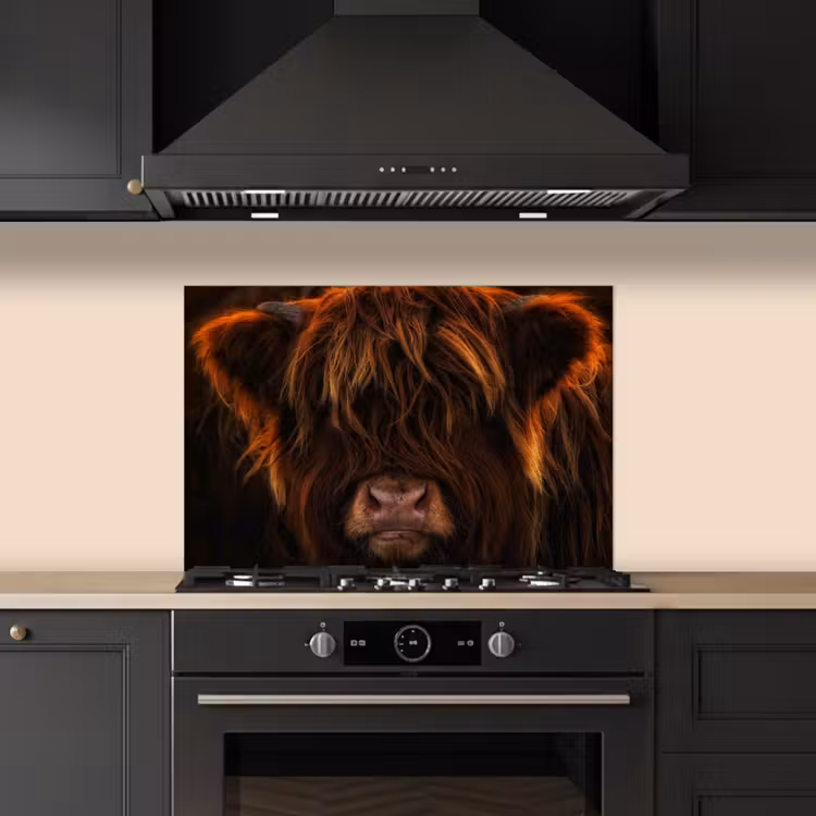Spatscherm keuken - Schotse Hooglander - Koe - Portret - Dieren — 2