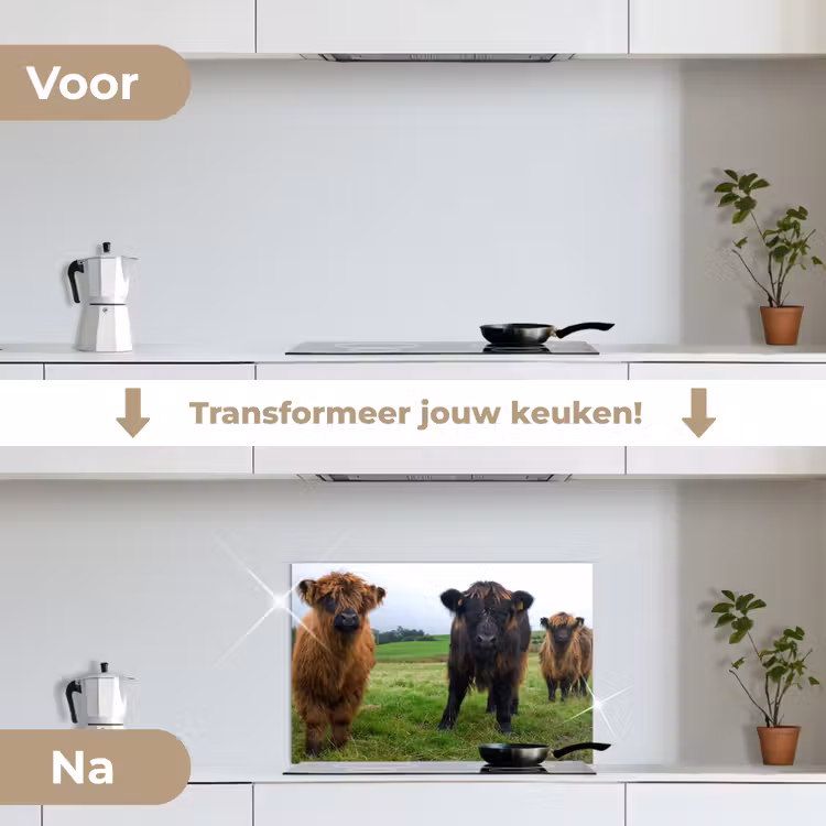 Spatscherm keuken - Schotse hooglander - Koeien - Natuur - Groen - Gras — 3