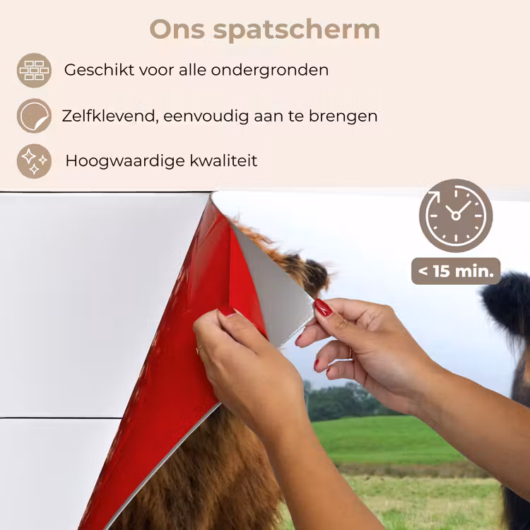 Spatscherm keuken - Schotse hooglander - Koeien - Natuur - Groen - Gras — 4