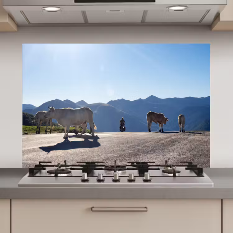 Spatscherm keuken - Schotse hooglander - Licht - Berg - Natuur — 1