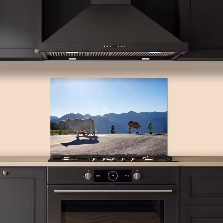 Spatscherm keuken - Schotse hooglander - Licht - Berg - Natuur — 2