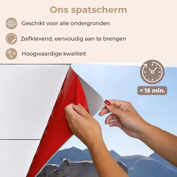 Spatscherm keuken - Schotse hooglander - Licht - Berg - Natuur — 4
