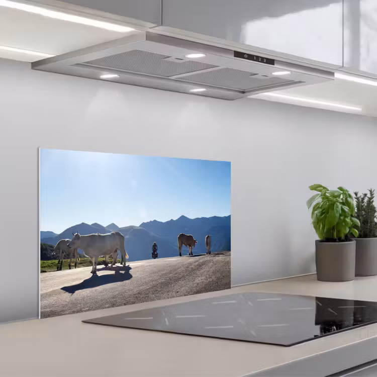 Spatscherm keuken - Schotse hooglander - Licht - Berg - Natuur — 5