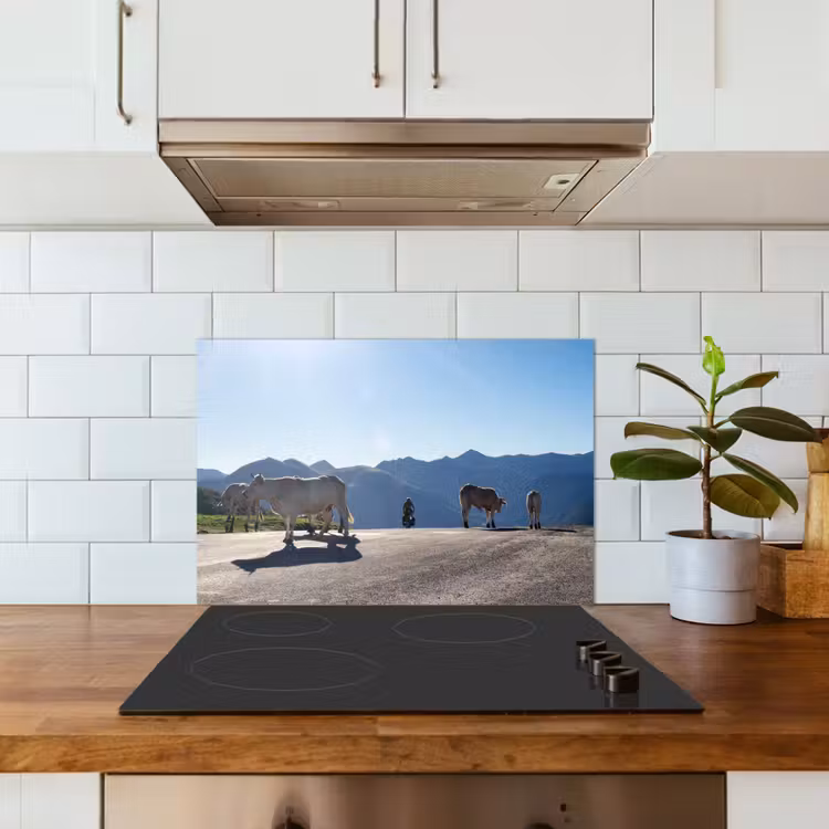 Spatscherm keuken - Schotse hooglander - Licht - Berg - Natuur — 6