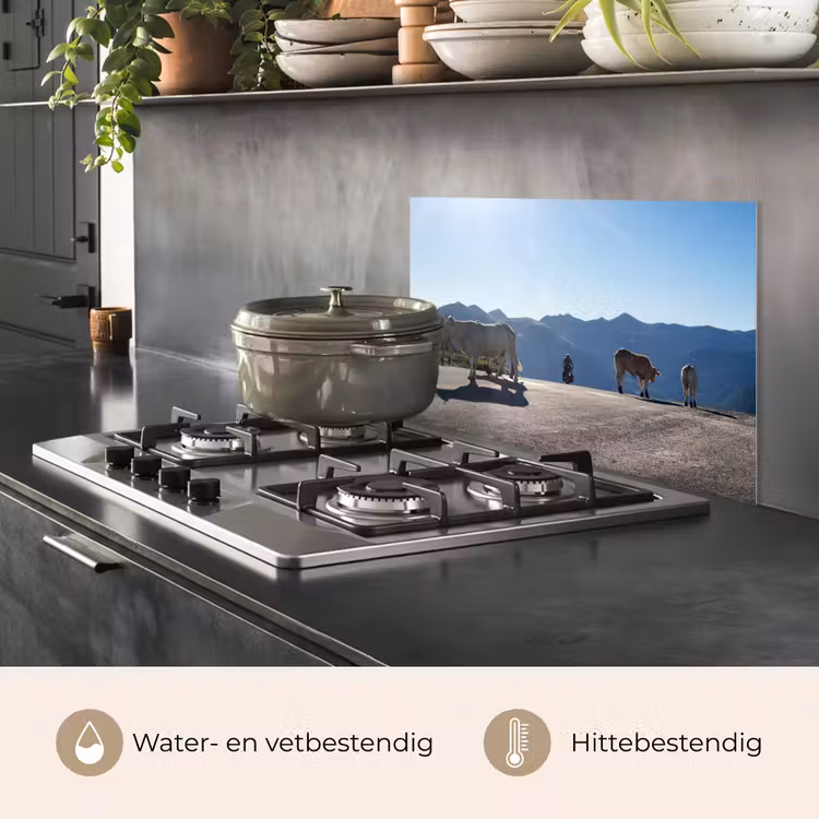 Spatscherm keuken - Schotse hooglander - Licht - Berg - Natuur — 7