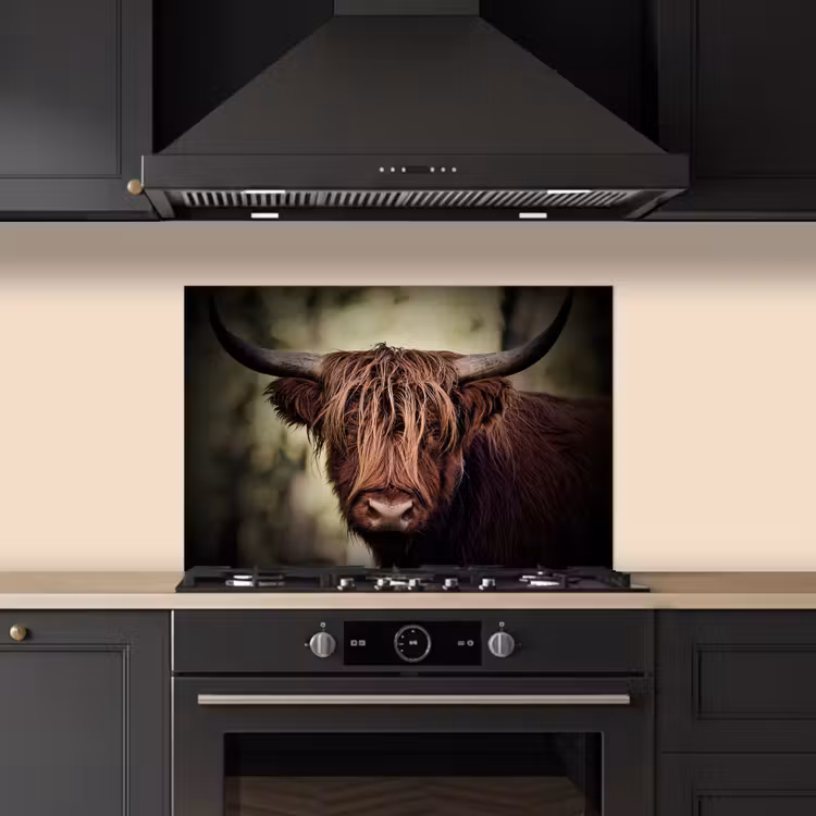 Spatscherm keuken - Schotse hooglander - Licht - Portret - Natuur — 2
