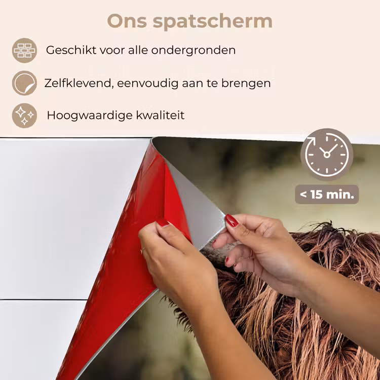 Spatscherm keuken - Schotse hooglander - Licht - Portret - Natuur — 4
