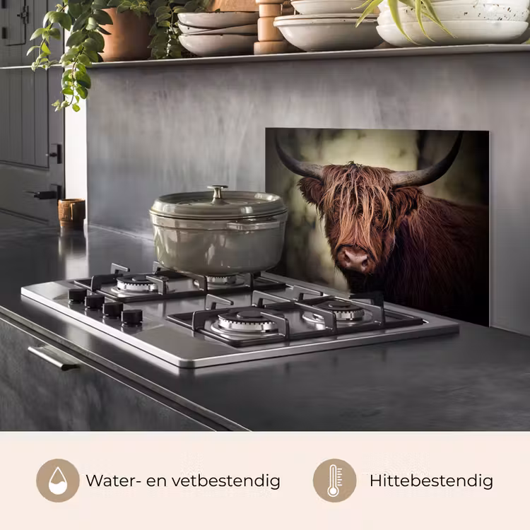Spatscherm keuken - Schotse hooglander - Licht - Portret - Natuur — 7