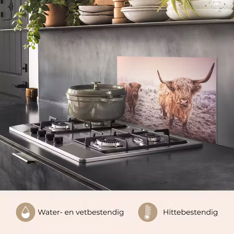 Spatscherm keuken - Schotse hooglanders - Licht - Lucht - Natuur — 7