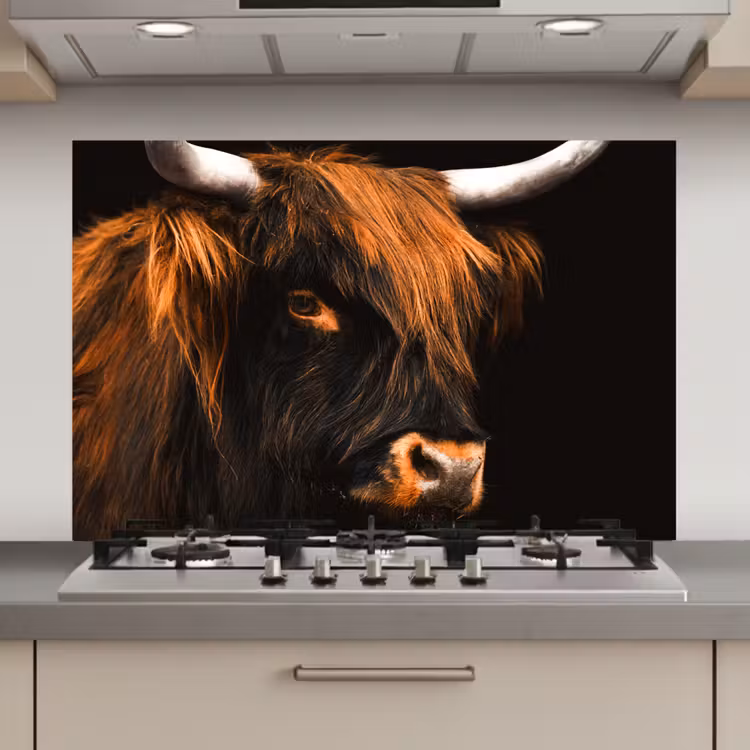 Spatscherm keuken - Schotse hooglander - Zwart - Koe - Hoorn - Dieren — 1
