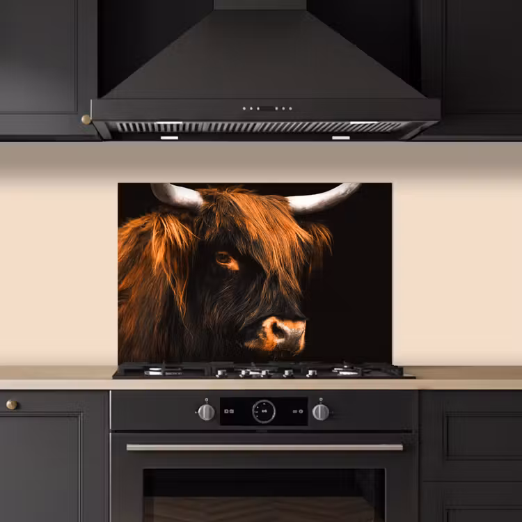 Spatscherm keuken - Schotse hooglander - Zwart - Koe - Hoorn - Dieren — 2