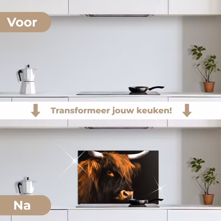 Spatscherm keuken - Schotse hooglander - Zwart - Koe - Hoorn - Dieren — 3