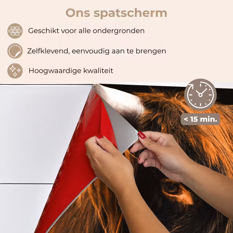 Spatscherm keuken - Schotse hooglander - Zwart - Koe - Hoorn - Dieren — 4