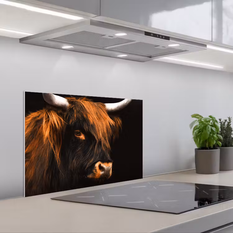 Spatscherm keuken - Schotse hooglander - Zwart - Koe - Hoorn - Dieren — 5