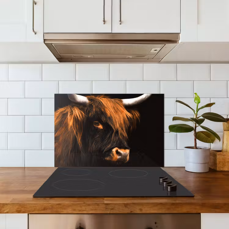 Spatscherm keuken - Schotse hooglander - Zwart - Koe - Hoorn - Dieren — 6