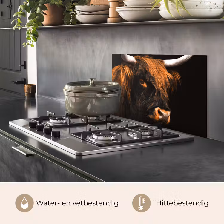 Spatscherm keuken - Schotse hooglander - Zwart - Koe - Hoorn - Dieren — 7