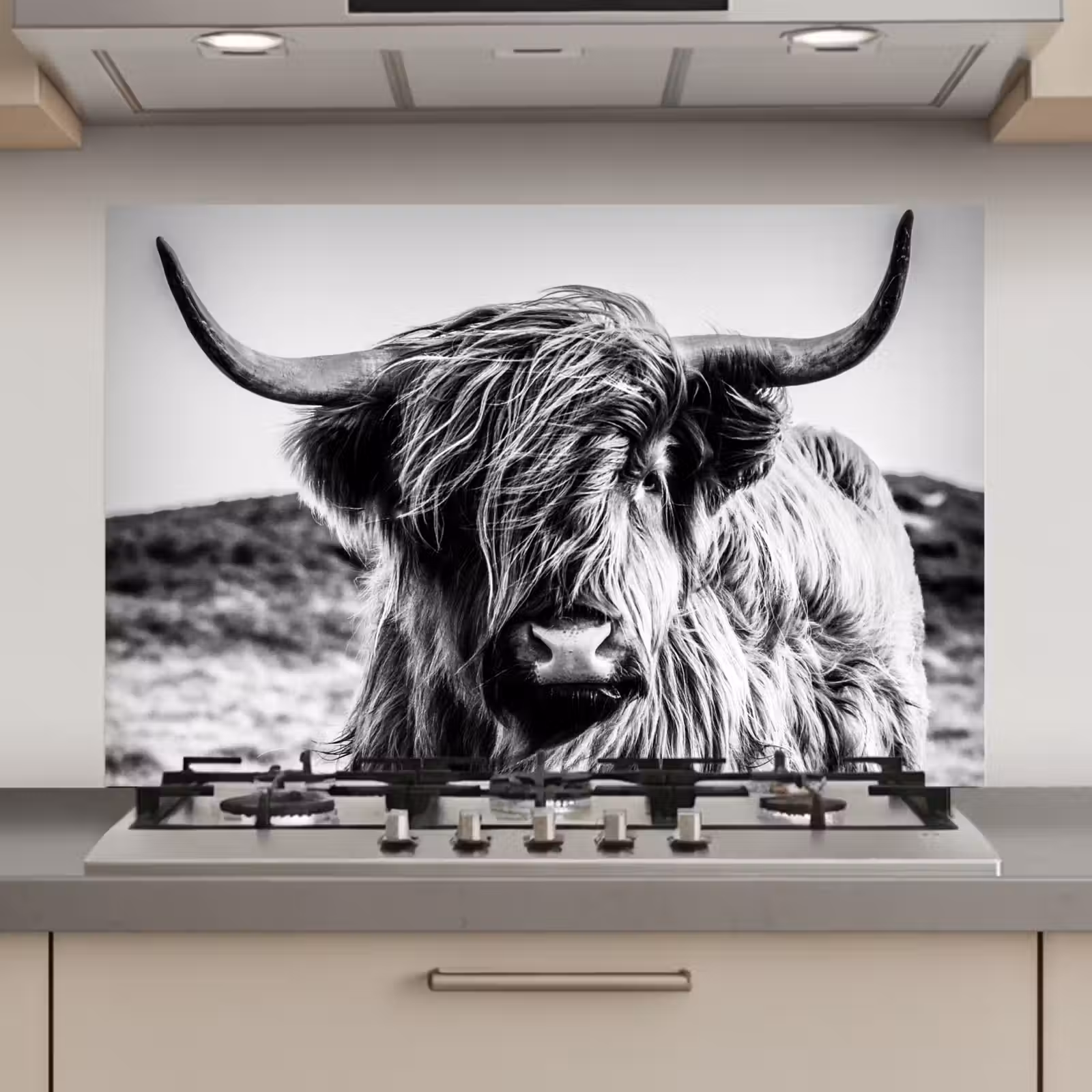 Spatscherm keuken - Schotse hooglander - Natuur - Koe - Zwart - Wit — 1