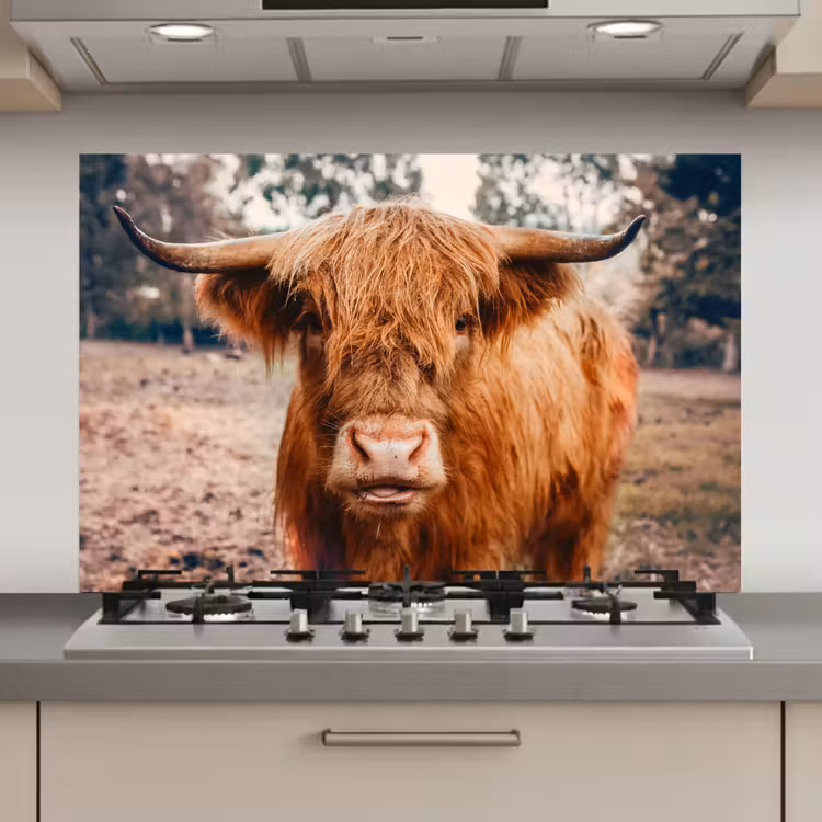 Spatscherm keuken - Koe- Schotse hooglander - Hoorns - Bruin - Landschap