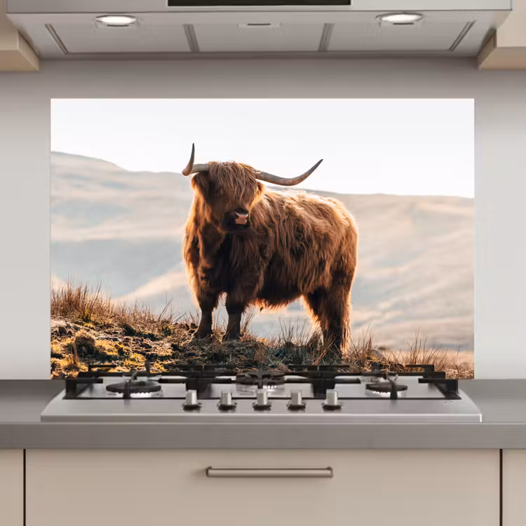 Spatscherm keuken - Schotse hooglander - Dieren - Landelijk - Landschap - Koe - Natuur — 1