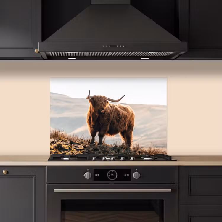 Spatscherm keuken - Schotse hooglander - Dieren - Landelijk - Landschap - Koe - Natuur — 2