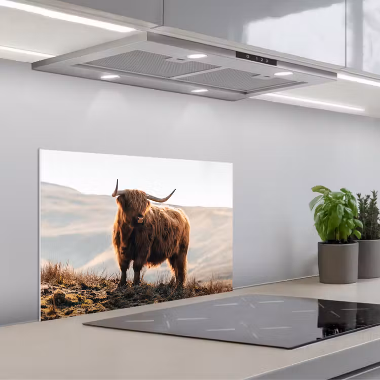 Spatscherm keuken - Schotse hooglander - Dieren - Landelijk - Landschap - Koe - Natuur — 5