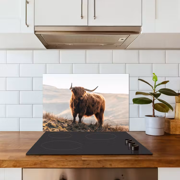 Spatscherm keuken - Schotse hooglander - Dieren - Landelijk - Landschap - Koe - Natuur — 6